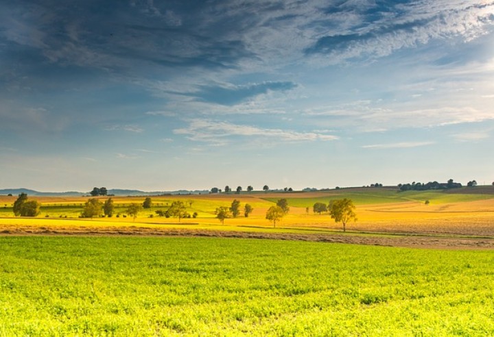 Landesentwicklung & Strategie