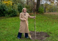 LH Mikl-Leitner: 200 Bäume für St. Pöltner Regierungsviertel