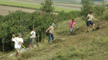 Schutzgebietsbetreuung in Niederösterreich