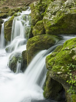 Förderungen aus dem Bereich Umwelt & Wasser