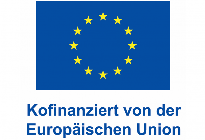 Europäischer Sozialfonds