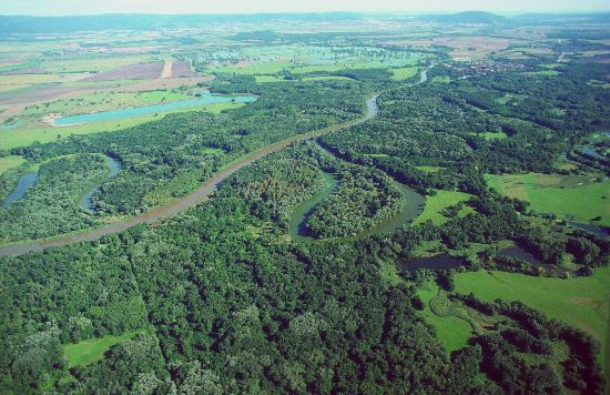 Naturschutz- und Ramsar-Gebiet Untere Marchauen